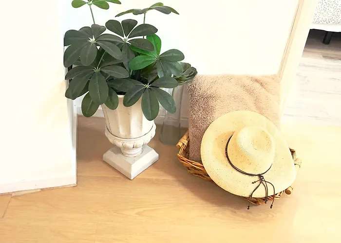 Homestay szállás Alquiler De Privada Con Areas De Sala, Cocina Y Bano Que Se Comparten Cerca Al Mar! *